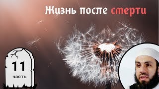Хроники жизни. 11-я часть. Жизнь после смерти | Билял Асад