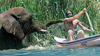 Elephant Man's Journey