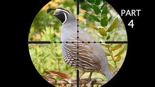 Caza De Palomas Y Perdices Con Rifle De Aire Parte 4