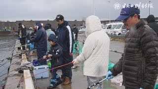 ハタハタ狙い、釣り人ずらり　由利本荘市の道川漁港
