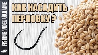 Как насадить перловку на крючок | HD