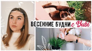 Домашний ВЛОГ ???? К ТАКОМУ ЖИЗНЬ МЕНЯ НЕ ГОТОВИЛА???? Зачем я режу обувь?!