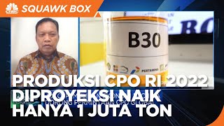 Masih Tertekan, Produksi CPO RI 2022 Diproyeksi Hanya Naik 1 Juta Ton