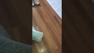 Candid napping soles after mowing with stinky socks and shoes