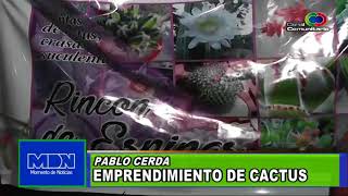 Pablo Cerda   Emprendimiento de cactus