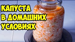 Как квасить капусту в домашних условиях. Простой рецепт вкусной соленой капусты