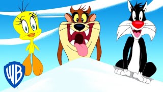 Looney Tunes en Español ???????? | Hora de aventuras con Piolín, Taz y Silvestre