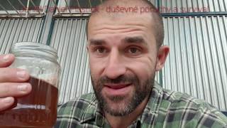Homeless survival Piešťany 29.05.2019