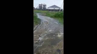 Тайфун Лайонрок уже в домах Уссурийск на улице Ивасика потоп