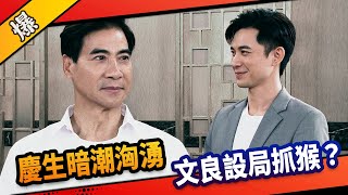 《八點檔搶先爆》市井豪門 EP190 慶生暗潮洶湧 文良設局抓猴？