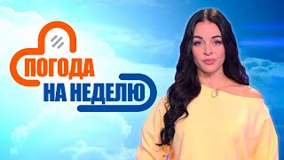 Дождь, ветер и до +15! | Прогноз погоды с 29 октября по 3 ноября | Погода в Беларуси | Плюс-минус