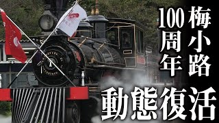 梅小路蒸気機関車館 7100形「義経号」動態復活記念運転（2014.10）