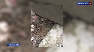 В почтовом ящике волгоградца обнаружены наркотики