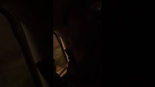Travesti Ali yollarda