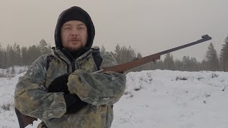CZ 550 308 win Lux, стрельба и обзор