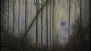 Bigfoot in Minnesota, a new discovery....