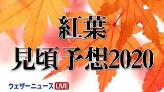 【最新】紅葉見頃予想2020