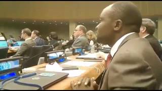 VERY EMOTIONAL HUMAN RIGHTS REPORT ON SOUTHERN CAMEROON AT THE UNO