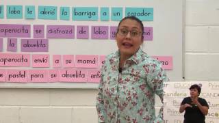 Primaria 1º y 2º clase: 43 Tema: Ideas principales de un texto