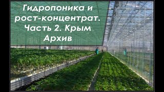 Выращиваем овощи на малообъемной гидропонике