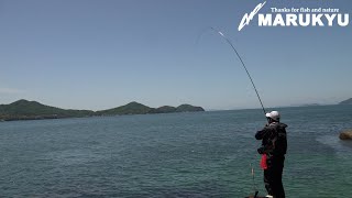 【ニューチヌパワーダッシュ】浅場のチヌをロックオン！香川県詫間のチヌ攻略～後編