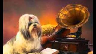 die goeie ouwe tijd -the sunstreams