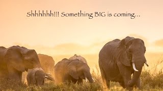 Shhhh!! Something BIG is coming...