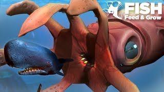 NEW GIANT SQUID EATS SPERM WHALE!!! - Fish Feed Grow
