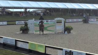 Just Stella L - Angelstone PDI Grand Prix, July 2015