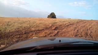По горам на KIA Sorento