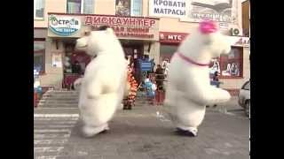 белые медведи танцуют в Витебске