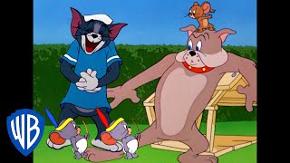 Tom & Jerry in italiano | Avventura all'Aria Aperta 