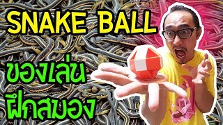 หัวร้อน โคตรยาก ฝึกสมอง Snake Ball | เพื่อนซี้ ตัวแสบ