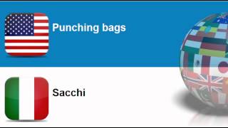 Learn Italian vocabulary #Topic = Boxing equipment