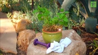 How to Feed Your Soil and Read Fertilizer Label: Way to Grow