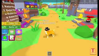 *CODES* FOR DOGE SIMULATOR