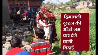 हिमाचली दुल्हन की आँखे नम कर देने वाली विदाई | Himachali Vidai