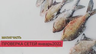 СЕТИ ЗАБИТЫ КРУПНОЙ РЫБОЙ. ПРОВЕРКА СЕТЕЙ ЯНВАРЬ 22