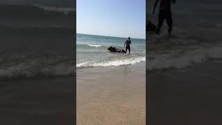 Buffalo on Varca beach. South Goa