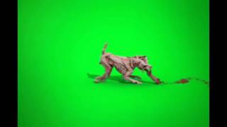 Собака мутант монстр футаж green screen скачать