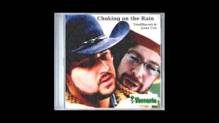 "Choking on the Rain" by TotalBiscuit & Jesse Cox (A "Terraria" remix)
