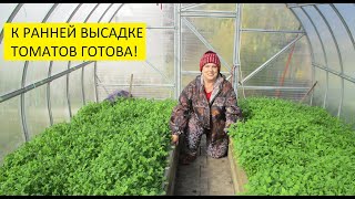 Осенняя подготовка теплицы для получения раннего урожая томатов.