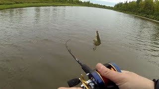 Щука 10+ кг на джеркбейт Svartzonker/Abu Garcia McMy Tail. DF 10