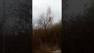 Это кайф