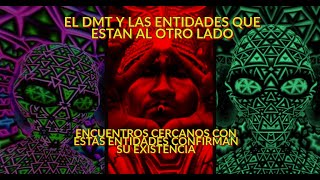 EL DMT Y EL ENCUENTRO CON LAS ENTIDADES QUE ESTAN AL OTRO LADO