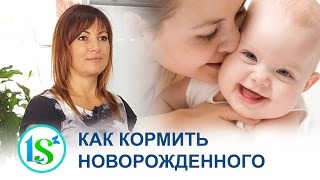 Как кормить новорожденного