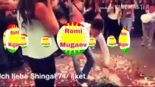 Предложение по курдски kurdish wedding курдская свадьба курдские свадьбы клипы концерты