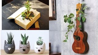 12 натуральных альтернатив горшкам для комнатных растений