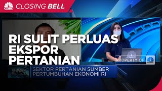 Supply Terbatas, RI Sulit Perluas Ekspor Pertanian