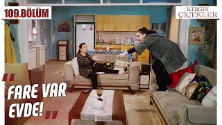 Songül ve Güney’in müthiş fikri! - Kırgın Çiçekler 109.Bölüm
